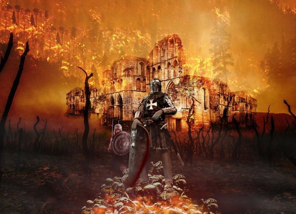 1. 主宠进化秘籍