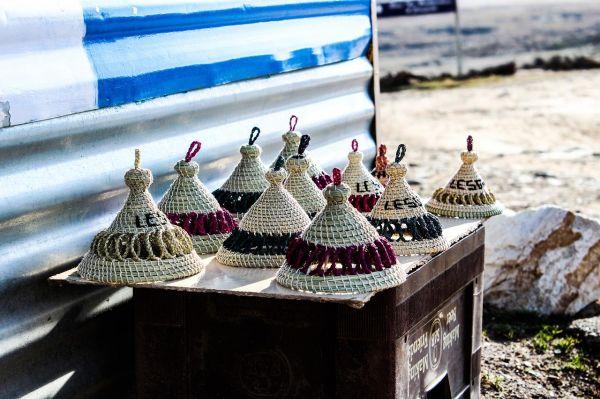 3. 进化潜能解析