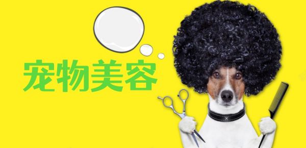 北京宠物美容师考级培训中心排名前三名单指南.jpg