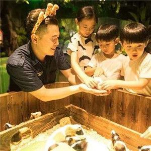 室内萌宠乐园品质