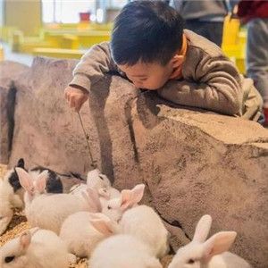 室内萌宠乐园品牌