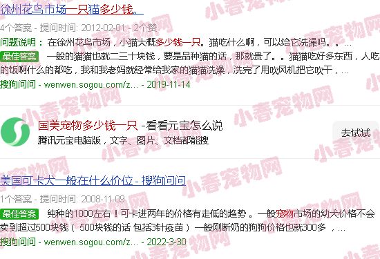 国美宠物多少钱一只