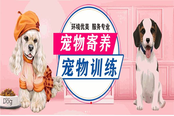 DAC宠物托养中心加盟