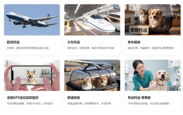 宠物托运公司加盟靠谱吗？投入收益与风险分析