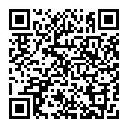 宠物 （升8半音）