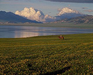 男人挺进雌性宠物爽到叫：男宠体验馆：减压新潮流，快乐回童年-2