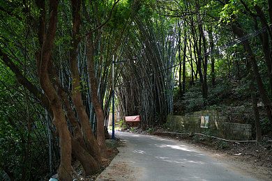 男人挺进雌性宠物爽到叫｜宠物情动：网络热议，关爱与尊重的反思-1