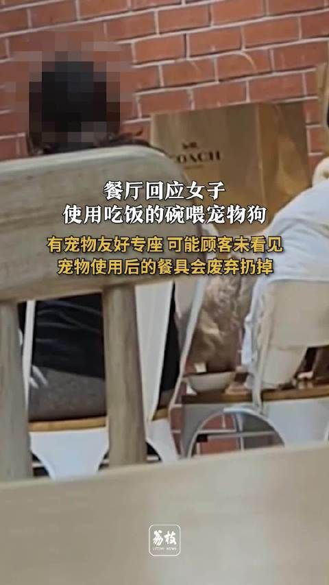 北京一餐厅顾客用碗喂狗，店家称宠物专座未使用