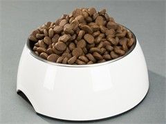 协信星光大街门面