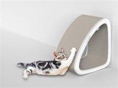 高价任我行电子礼品卡找我