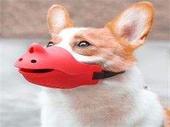 全新猫粮价格面议