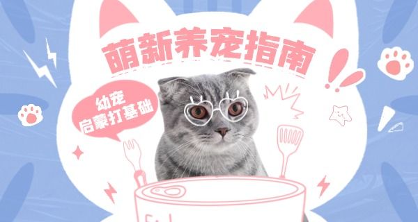 上 海宠物美容培训学校技校地址