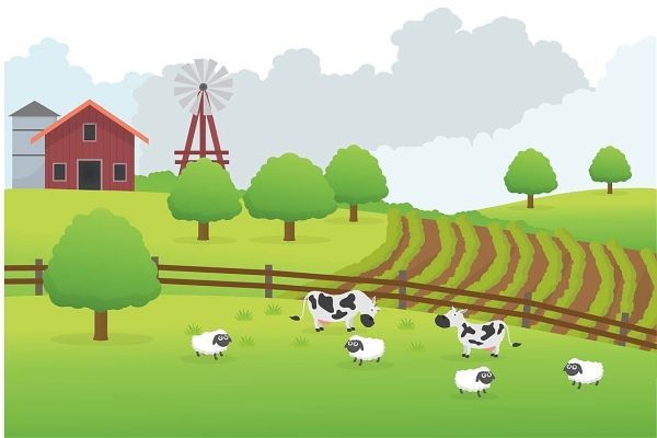 社保一个月交多少钱，公司社保一个月交多少钱