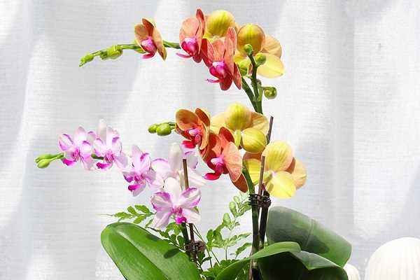 年假怎么算，公司年假怎么算