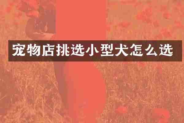 宠物店挑选小型犬怎么选