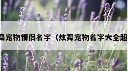 炫舞宠物情侣名字（炫舞宠物名字大全超拽）