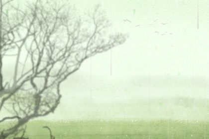 夫妻炫舞宠物名字情侣名字大全