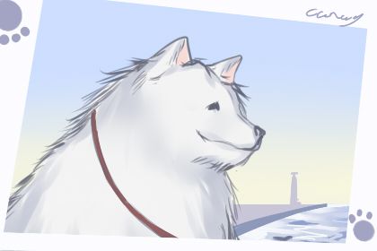 狗名大全霸气 狼狗公的叫什么名字好