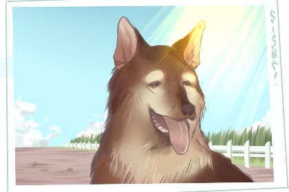 狗狗名字大全 英俊潇洒