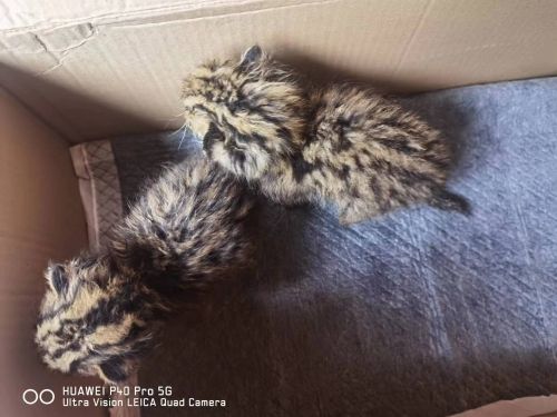 微信图片_20230612155632