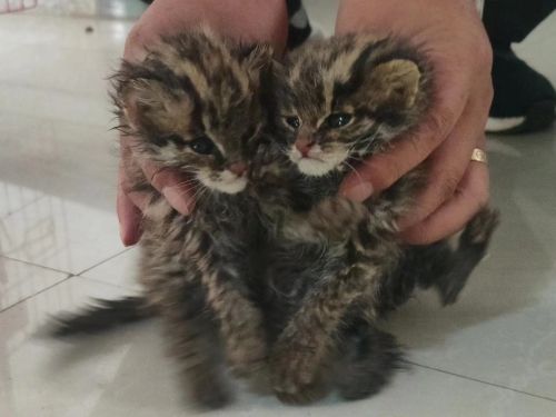 微信图片_20230612155641