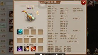 问道手游宠物点化后还能强化吗,问道宠物点化之后还能强化吗