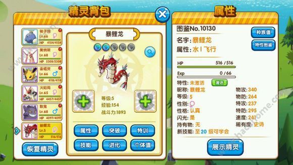 口袋妖怪复刻恶系最强宠物推荐 闪光暴鲤龙PK班吉拉图片1