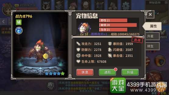 迷城物语宠物选择攻略