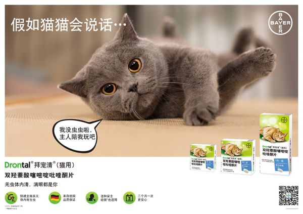 点此在新窗口浏览图片