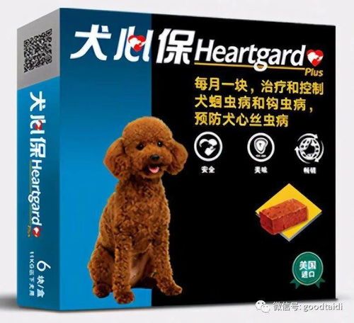 泰迪狗驱虫该用哪种药？