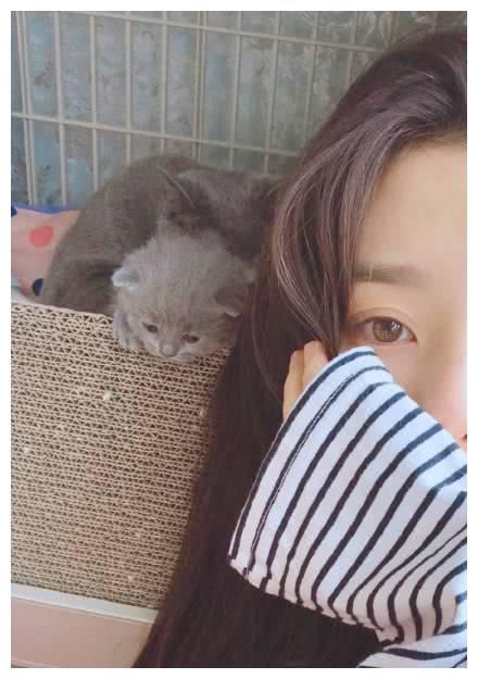 宋祖儿的三只狗五只猫，可爱爆了