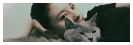 宋祖儿的三只狗五只猫，可爱爆了