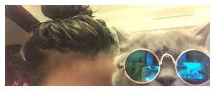 宋祖儿的三只狗五只猫，可爱爆了