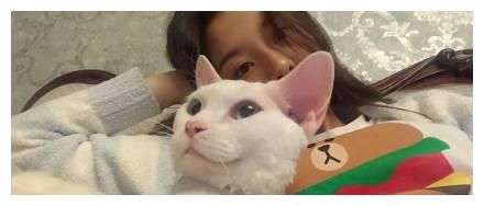 宋祖儿的三只狗五只猫，可爱爆了