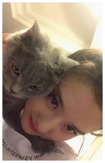 宋祖儿的三只狗五只猫，可爱爆了