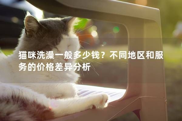 猫咪洗澡一般多少钱？不同地区和服务的价格差异分析