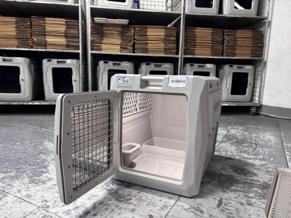 首批萌宠登上高铁！