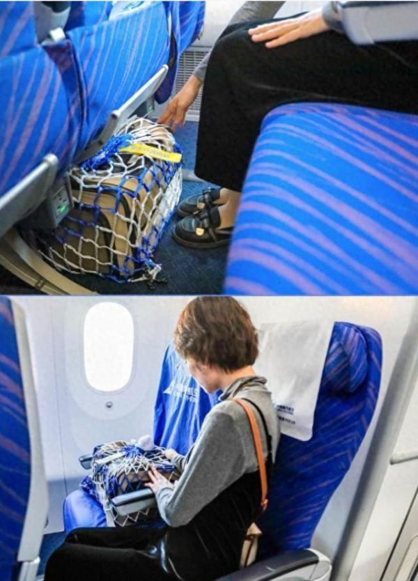 南航宠物进客舱服务要求宠物航空箱放置于主人前排座椅下方或加价购买的专属座位上。（受访者供图）