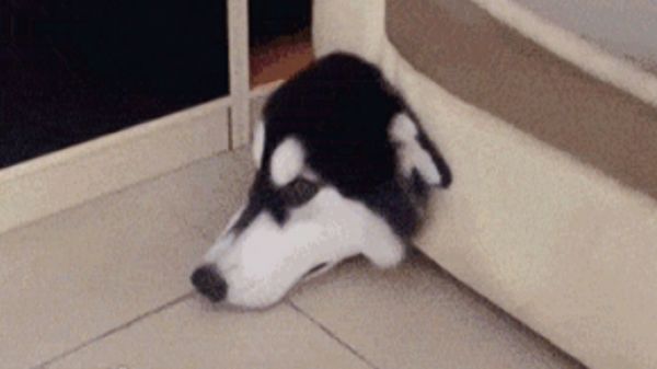 【搞笑版】没有买卖就没有伤害