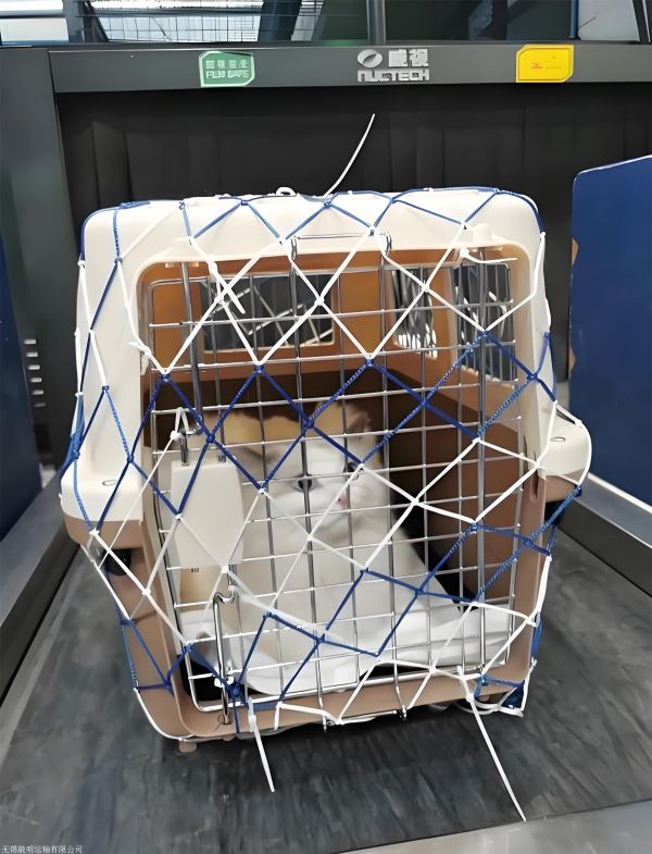 陕西西安碑林宠物托运邮寄哪家服务好