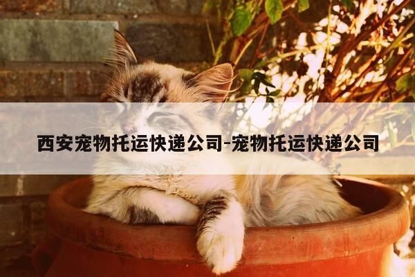 西安宠物托运快递公司-宠物托运快递公司-第1张图片-优惠活动网
