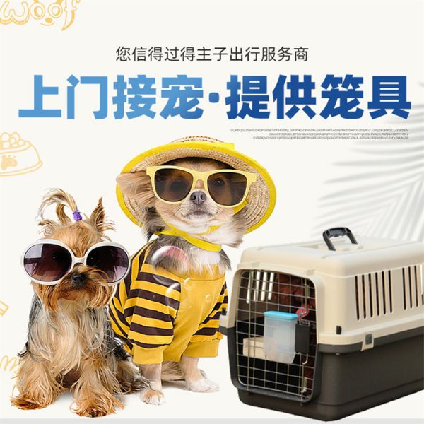 宠物猫狗运输: 陕西西安猫咪宠物托运宠物单托运