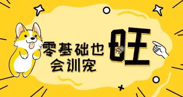 派 多格宠物学校电话