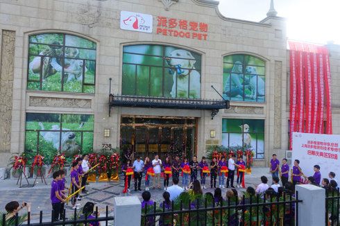 加速全国校区布局:上海派多格宠物技术专修盛大开校