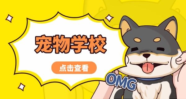 洛 阳派多格宠物学校