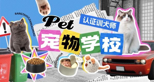 派多格宠物学校好不好
