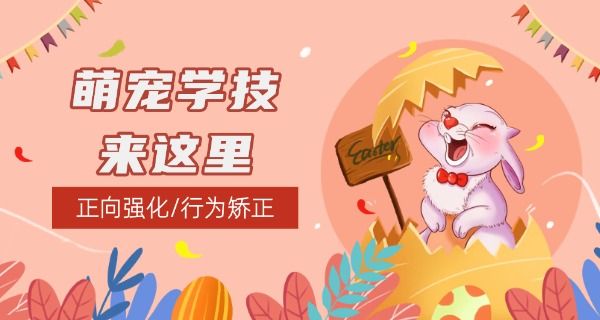 派多格宠物学校好不好