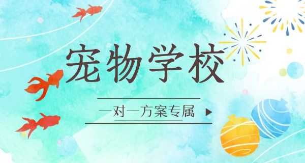 北 京派多格宠物学校地址