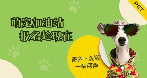 成 都派多格宠物学校学费