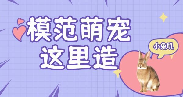 成 都派多格宠物学校学费